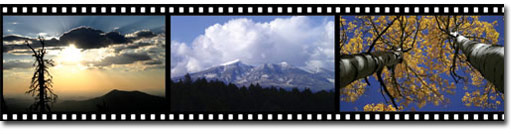 Flagstaff Homes Views