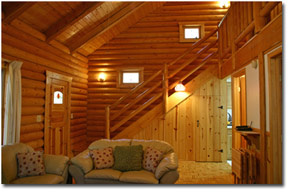 Log Cabin Vacation Rental